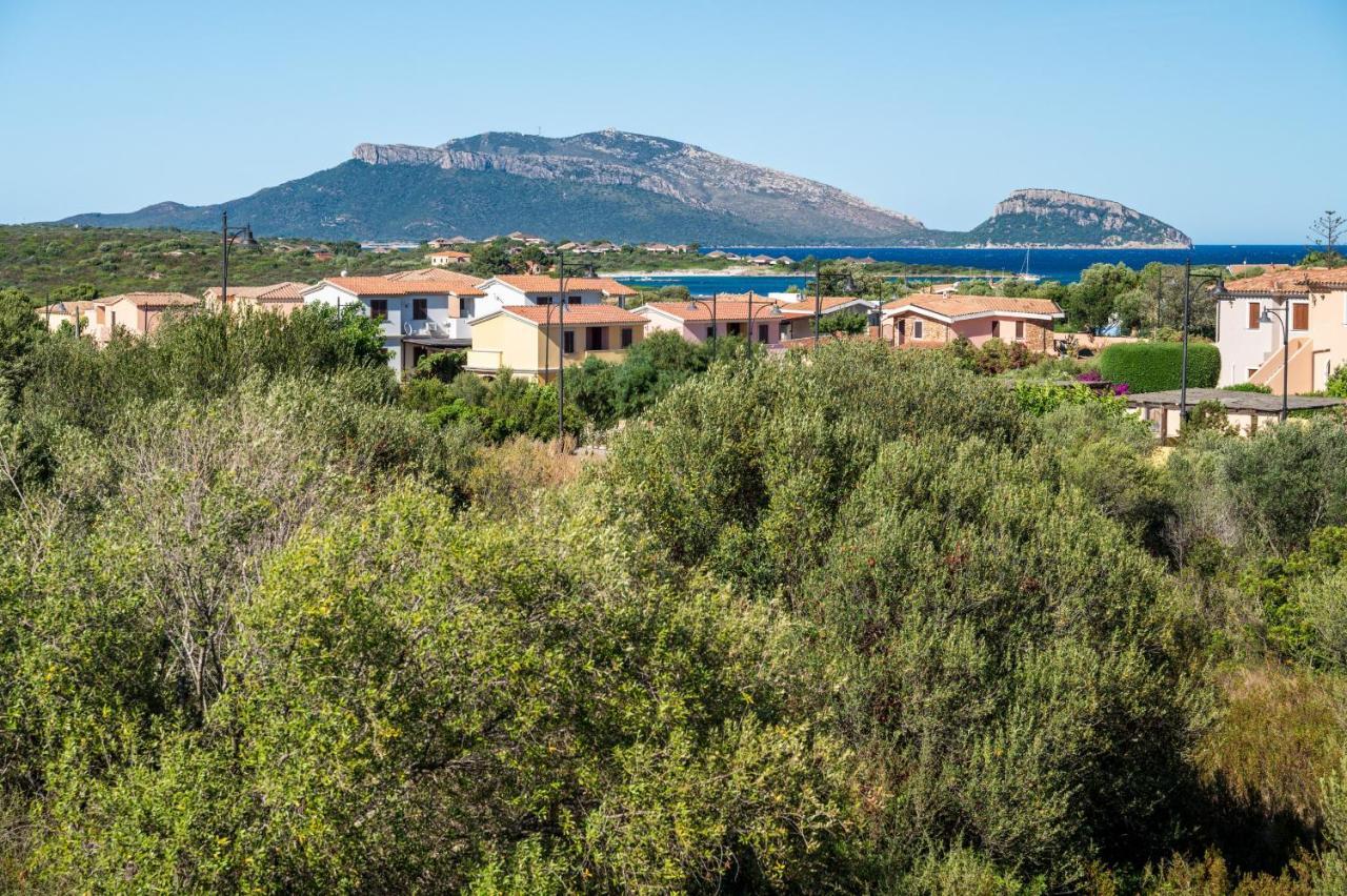 Apartment Amazing & Comfy - With Private Parking Olbia